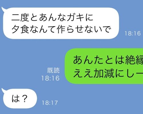 孫が作る食事に義母「なんて物を食べさせるの！」→「ええ加減にしーや」意外な登場人物に態度が一変