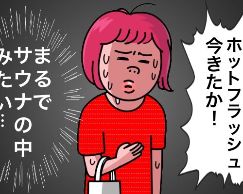 ホットフラッシュイメージ