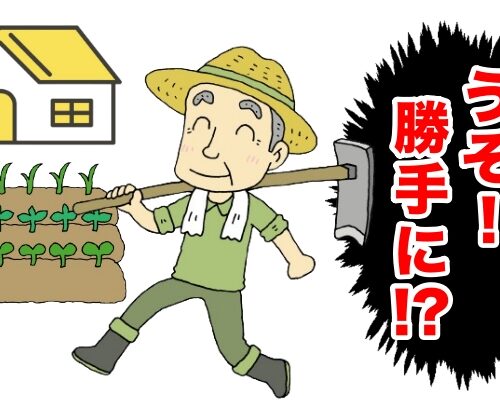 家庭菜園イメージ