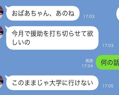 孫から突然の連絡「おばあちゃんのせいで大学に行けない！」⇒「何の話？」娘を問いただすとまさかの返答が