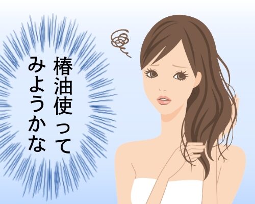 椿油ヘアケアイメージ