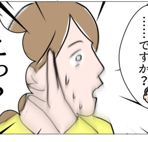 ドラレコなしで事故／フワリー