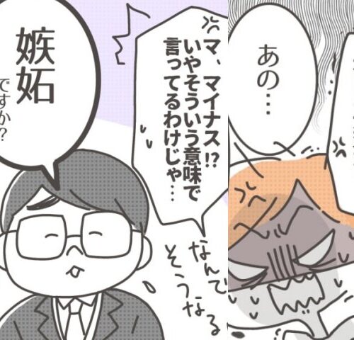 僕の妻は完璧／はたり