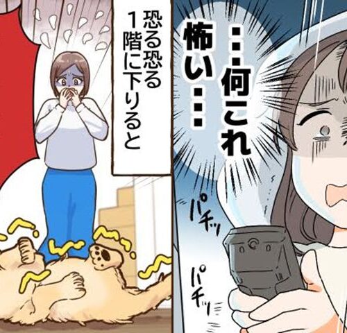 恐怖体験　イメージカット