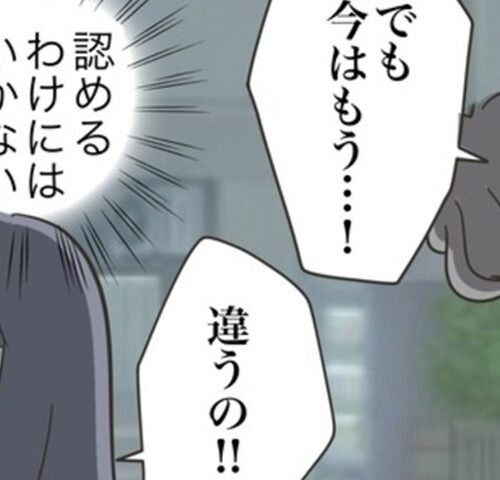 どうしたら結婚できますか／のむすん