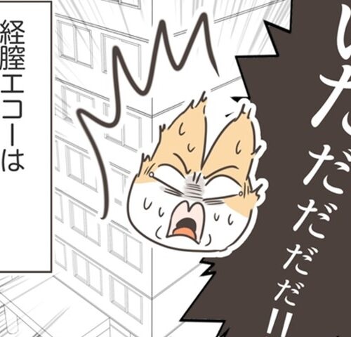 アラフィフが子宮全摘／宮島もっちー