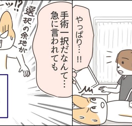 アラフィフが子宮全摘／宮島もっちー