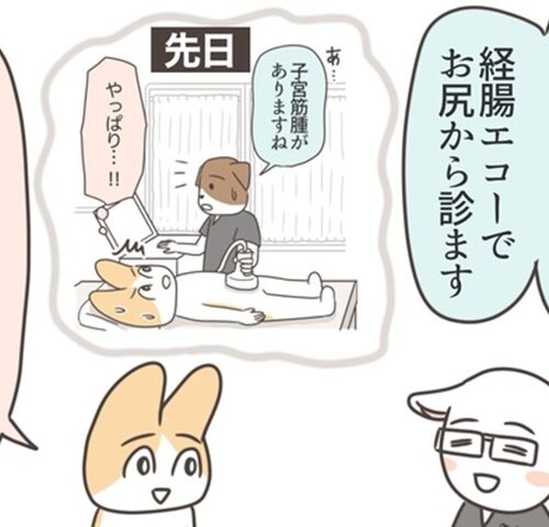 アラフィフが子宮全摘／宮島もっちー