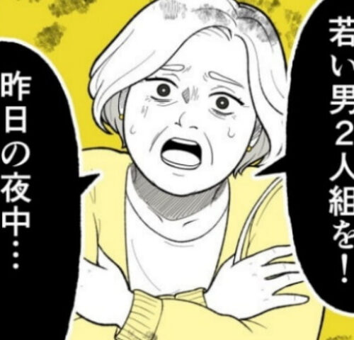 恐怖の訪問者／ほや助