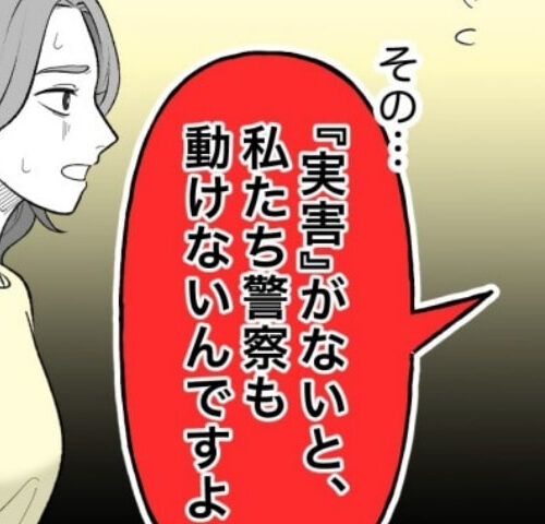 恐怖の訪問者／ほや助