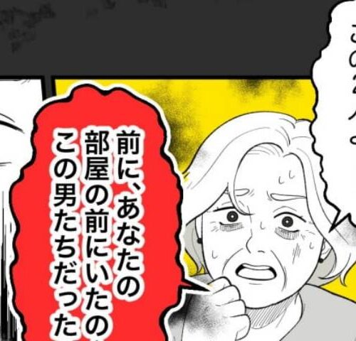 恐怖の訪問者／ほや助